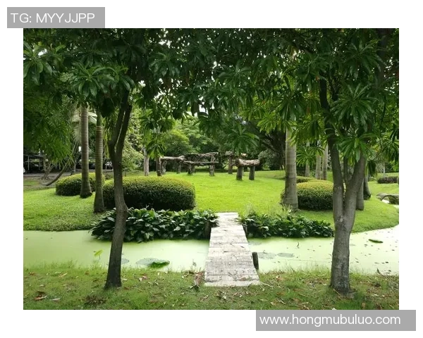 狼群日记-里德迸发痛击独行侠 亲爱的姐姐 你在天堂还好吗? 狼群日记-里德迸发痛击独行侠 亲爱的姐姐 你在天堂还好吗?